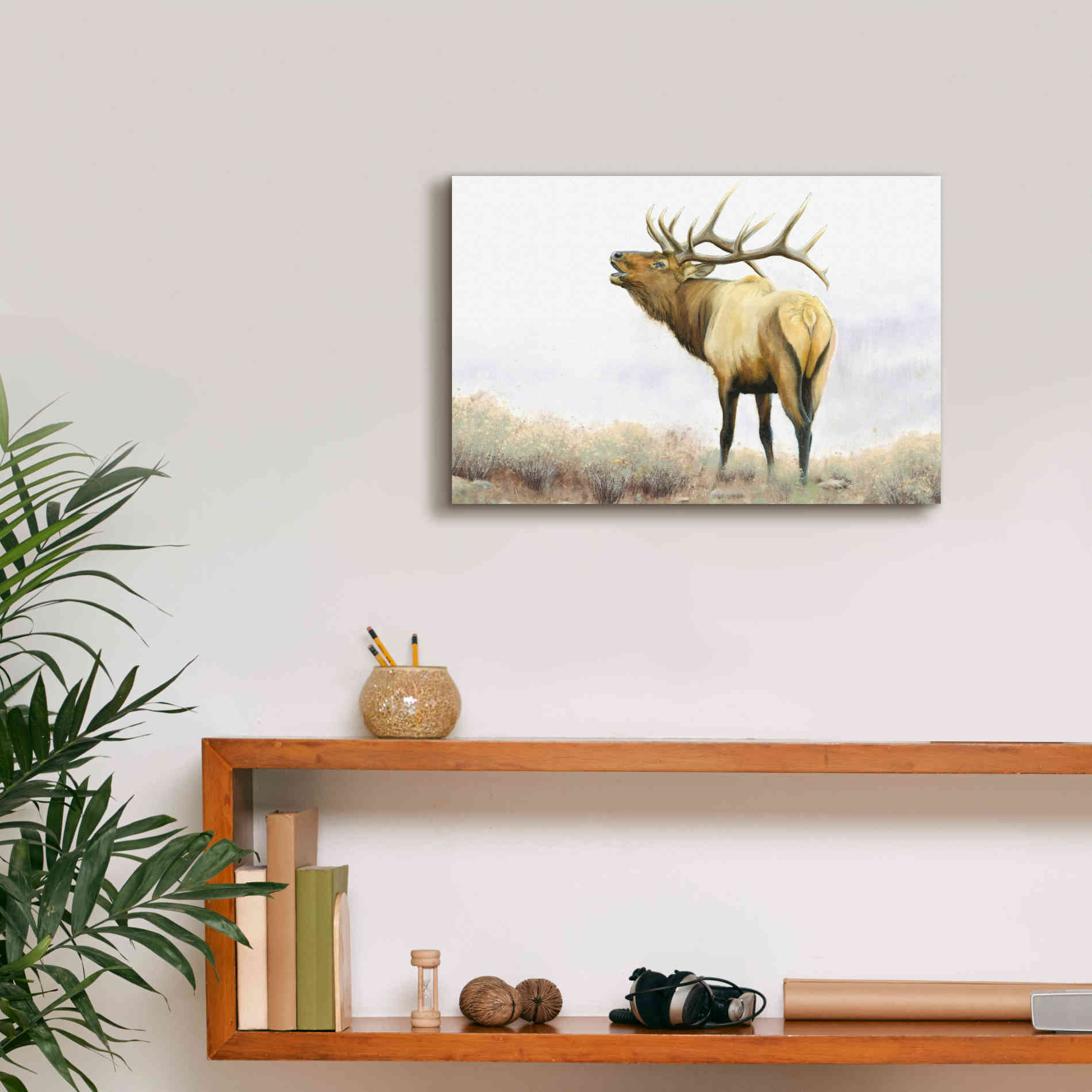 'Majestic Elk' by James Wiens, Canvas Wall Art,18 x 12