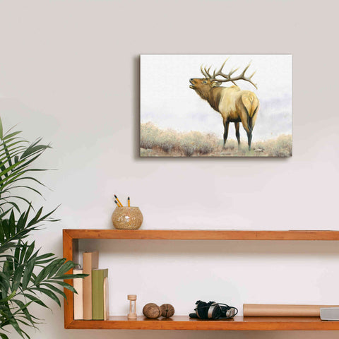 Image of 'Majestic Elk' by James Wiens, Canvas Wall Art,18 x 12