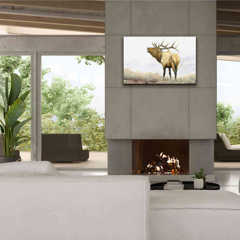 Image of 'Majestic Elk' by James Wiens, Canvas Wall Art,40 x 26