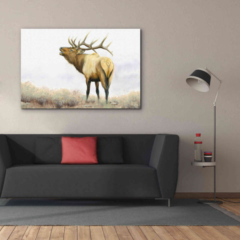 Image of 'Majestic Elk' by James Wiens, Canvas Wall Art,60 x 40