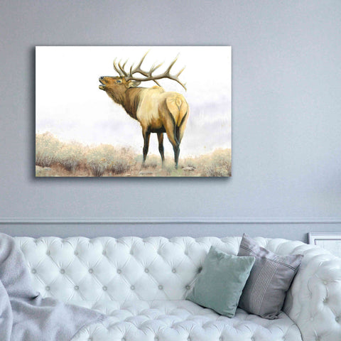 Image of 'Majestic Elk' by James Wiens, Canvas Wall Art,60 x 40