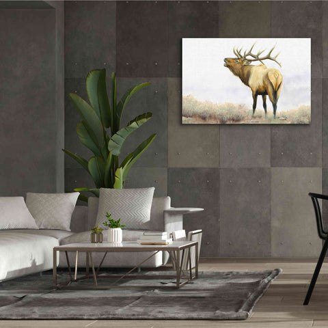 Image of 'Majestic Elk' by James Wiens, Canvas Wall Art,60 x 40