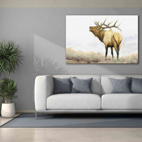 Image of 'Majestic Elk' by James Wiens, Canvas Wall Art,60 x 40