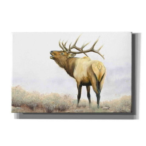 Image of 'Majestic Elk' by James Wiens, Canvas Wall Art,18x12x1.1x0,26x18x1.1x0,40x26x1.74x0,60x40x1.74x0
