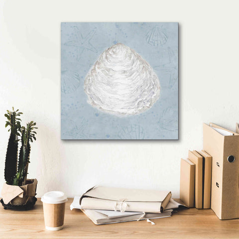 Image of 'Serene Shells I' by James Wiens, Canvas Wall Art,18 x 18
