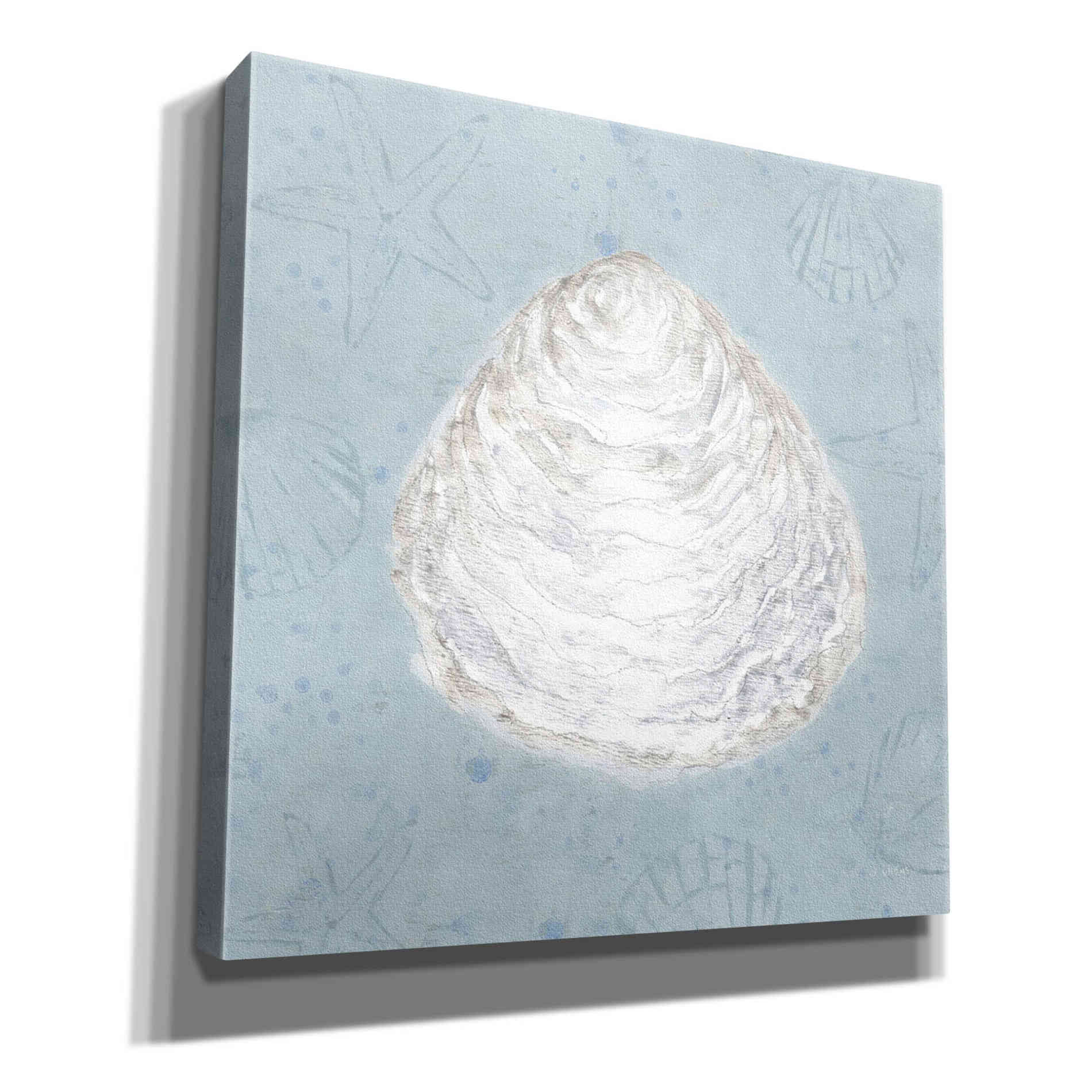 'Serene Shells I' by James Wiens, Canvas Wall Art,12x12x1.1x0,18x18x1.1x0,26x26x1.74x0,37x37x1.74x0
