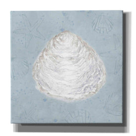 'Serene Shells I' by James Wiens, Canvas Wall Art,12x12x1.1x0,18x18x1.1x0,26x26x1.74x0,37x37x1.74x0