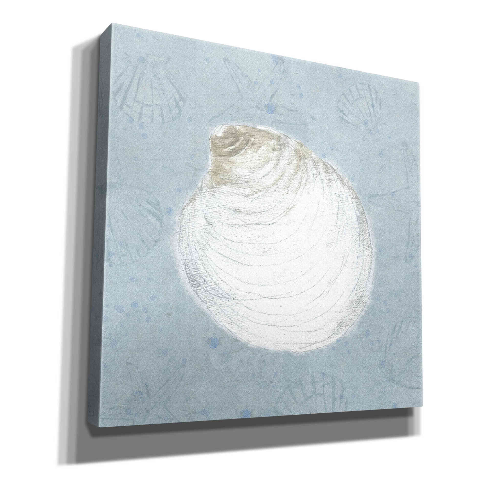 'Serene Shells II' by James Wiens, Canvas Wall Art,12x12x1.1x0,18x18x1.1x0,26x26x1.74x0,37x37x1.74x0