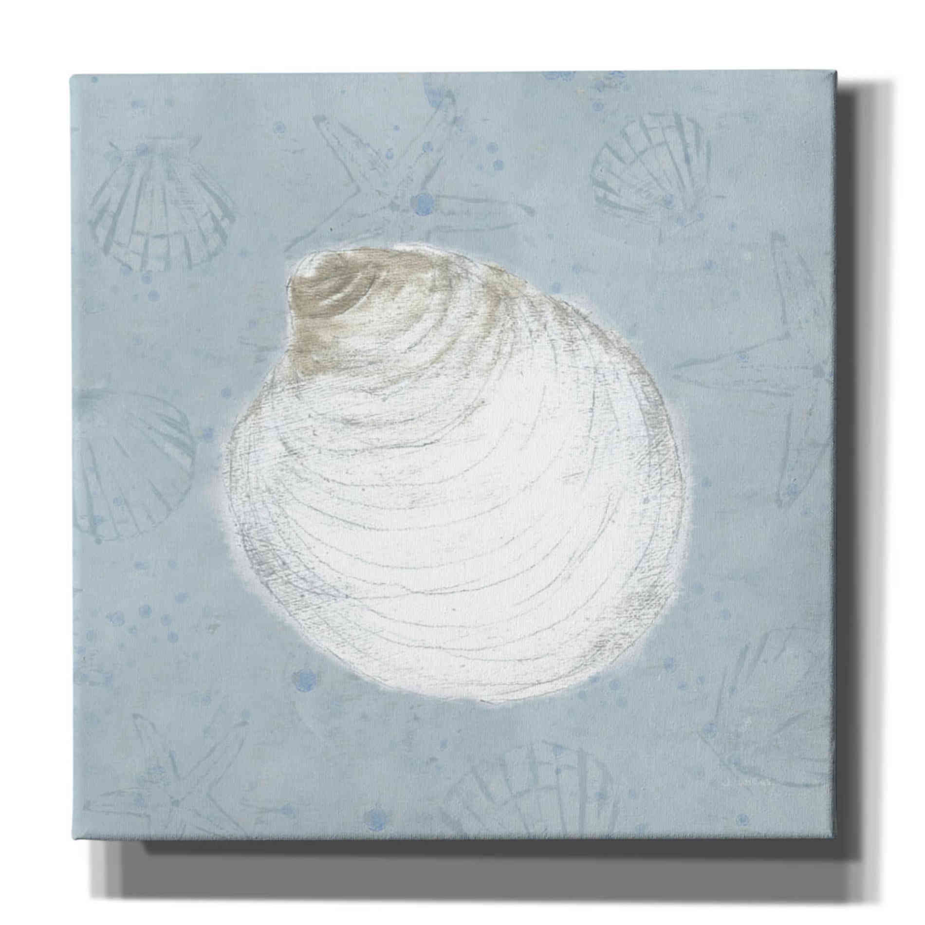 'Serene Shells II' by James Wiens, Canvas Wall Art,12x12x1.1x0,18x18x1.1x0,26x26x1.74x0,37x37x1.74x0