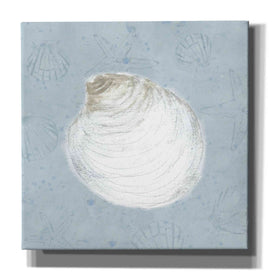 'Serene Shells II' by James Wiens, Canvas Wall Art,12x12x1.1x0,18x18x1.1x0,26x26x1.74x0,37x37x1.74x0