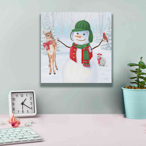 'Dressed for Christmas I Crop' by James Wiens, Canvas Wall Art,12 x 12