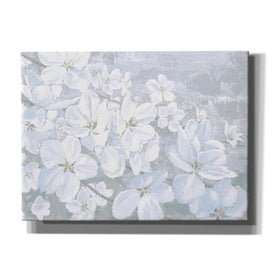 'Grand Array II' by James Wiens, Canvas Wall Art,16x12x1.1x0,26x18x1.1x0,34x26x1.74x0,54x40x1.74x0