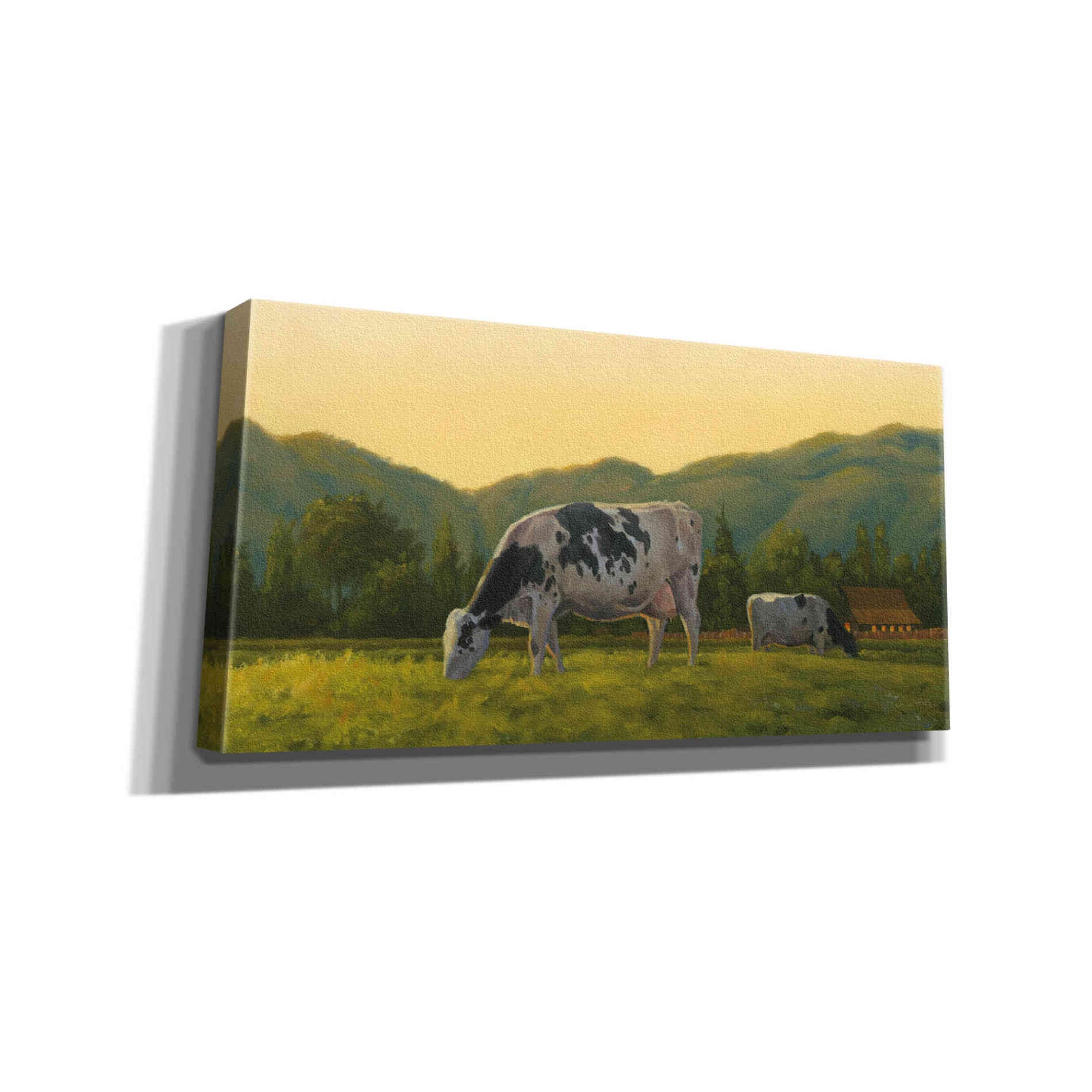 'Farm Life III' by James Wiens, Canvas Wall Art,24x12x1.1x0,40x20x1.74x0,60x30x1.74x0