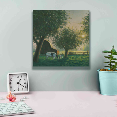 Image of 'Farm Life IV' by James Wiens, Canvas Wall Art,12 x 12