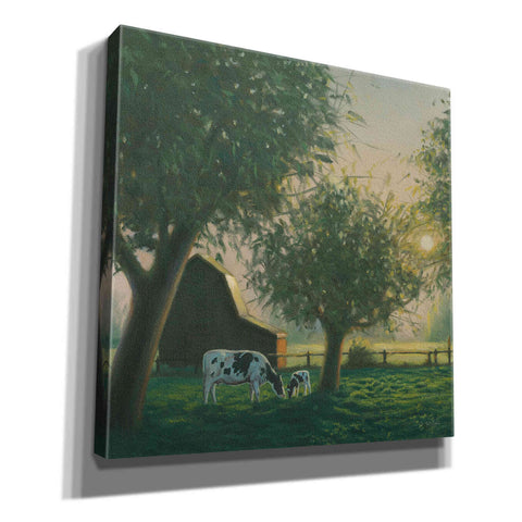 Image of 'Farm Life IV' by James Wiens, Canvas Wall Art,12x12x1.1x0,18x18x1.1x0,26x26x1.74x0,37x37x1.74x0