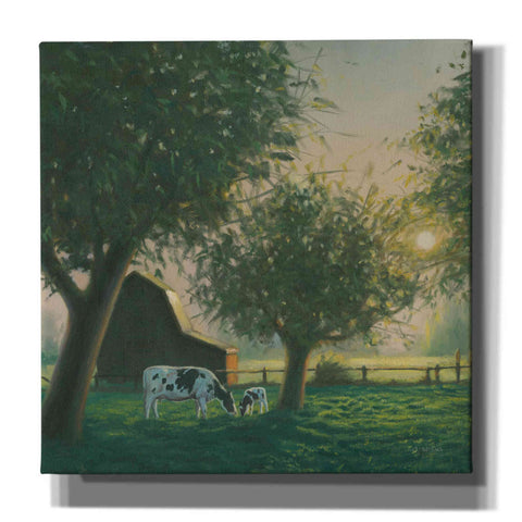 Image of 'Farm Life IV' by James Wiens, Canvas Wall Art,12x12x1.1x0,18x18x1.1x0,26x26x1.74x0,37x37x1.74x0