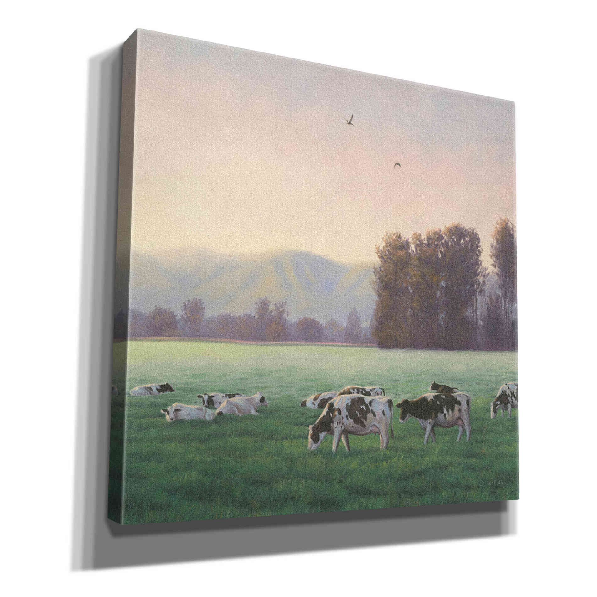 'Farm Life V' by James Wiens, Canvas Wall Art,12x12x1.1x0,18x18x1.1x0,26x26x1.74x0,37x37x1.74x0