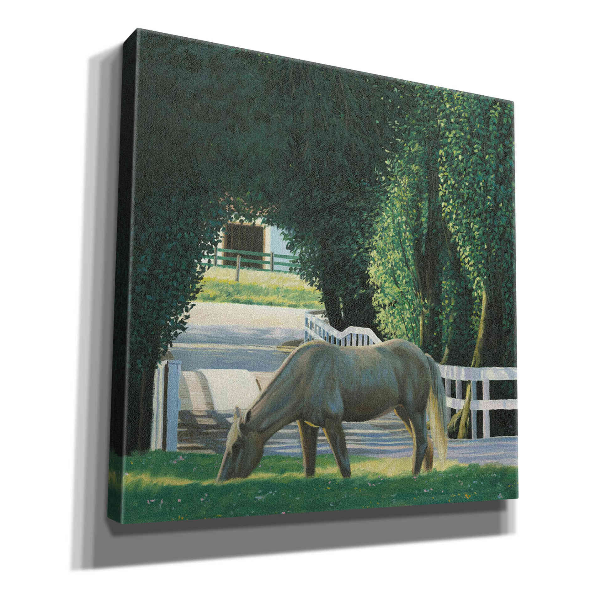 'Farm Life VI' by James Wiens, Canvas Wall Art,12x12x1.1x0,18x18x1.1x0,26x26x1.74x0,37x37x1.74x0