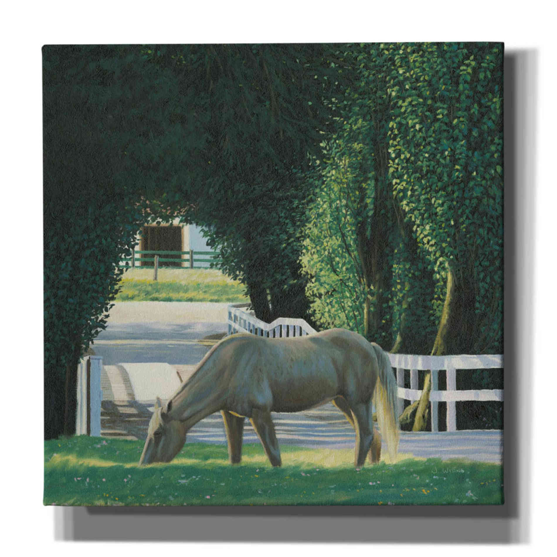'Farm Life VI' by James Wiens, Canvas Wall Art,12x12x1.1x0,18x18x1.1x0,26x26x1.74x0,37x37x1.74x0