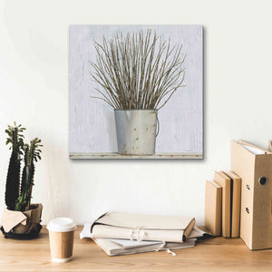'Early Spring' by James Wiens, Canvas Wall Art,18 x 18