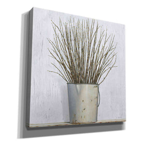 'Early Spring' by James Wiens, Canvas Wall Art,12x12x1.1x0,18x18x1.1x0,26x26x1.74x0,37x37x1.74x0
