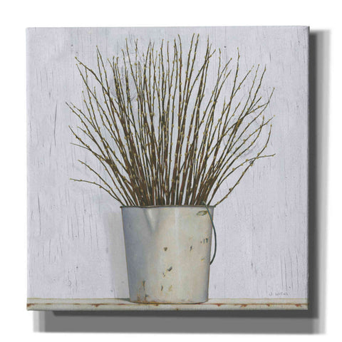 Image of 'Early Spring' by James Wiens, Canvas Wall Art,12x12x1.1x0,18x18x1.1x0,26x26x1.74x0,37x37x1.74x0