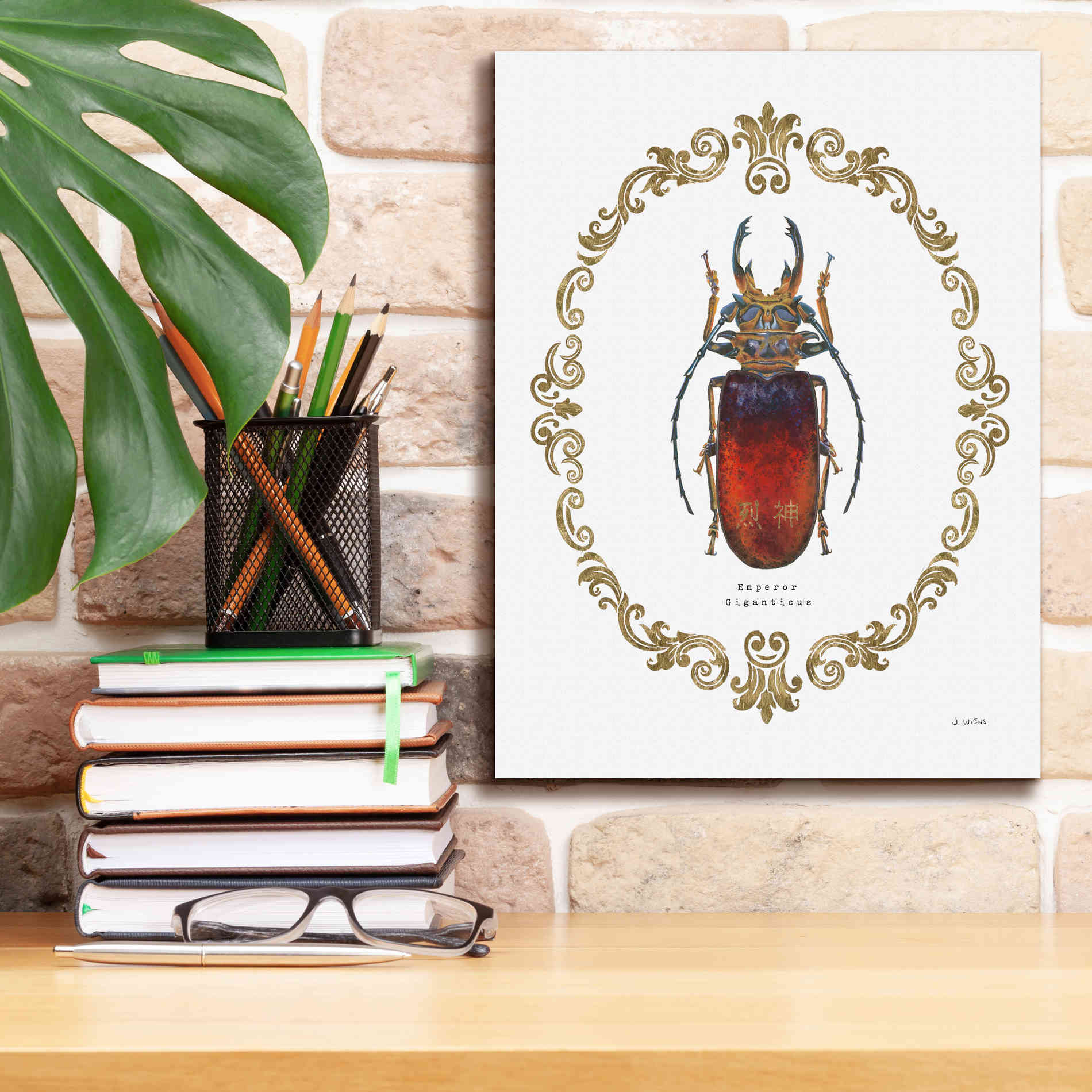 'Adorning Coleoptera I' by James Wiens, Canvas Wall Art,12 x 16