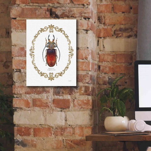 Image of 'Adorning Coleoptera I' by James Wiens, Canvas Wall Art,12 x 16