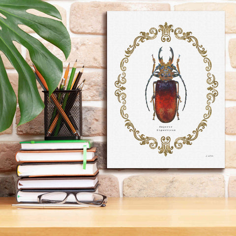 Image of 'Adorning Coleoptera I' by James Wiens, Canvas Wall Art,12 x 16