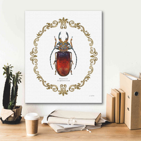 Image of 'Adorning Coleoptera I' by James Wiens, Canvas Wall Art,20 x 24