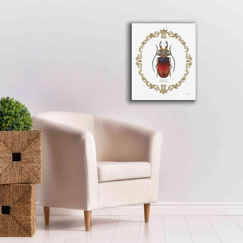 Image of 'Adorning Coleoptera I' by James Wiens, Canvas Wall Art,20 x 24