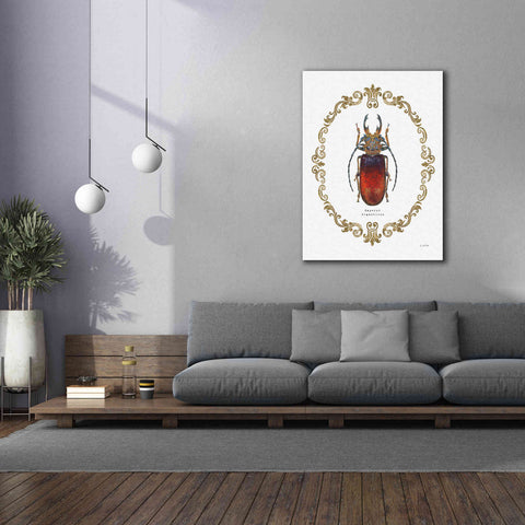 Image of 'Adorning Coleoptera I' by James Wiens, Canvas Wall Art,40 x 54