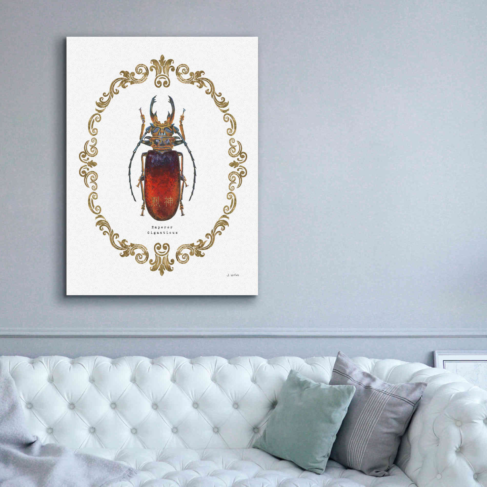 'Adorning Coleoptera I' by James Wiens, Canvas Wall Art,40 x 54