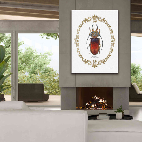 Image of 'Adorning Coleoptera I' by James Wiens, Canvas Wall Art,40 x 54