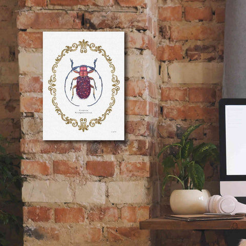 Image of 'Adorning Coleoptera II' by James Wiens, Canvas Wall Art,12 x 16