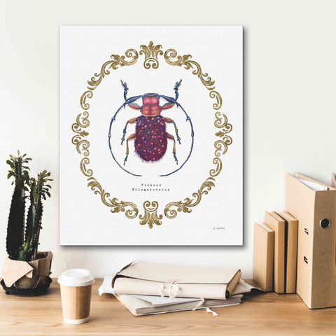 Image of 'Adorning Coleoptera II' by James Wiens, Canvas Wall Art,20 x 24