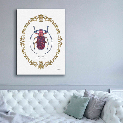 Image of 'Adorning Coleoptera II' by James Wiens, Canvas Wall Art,40 x 54