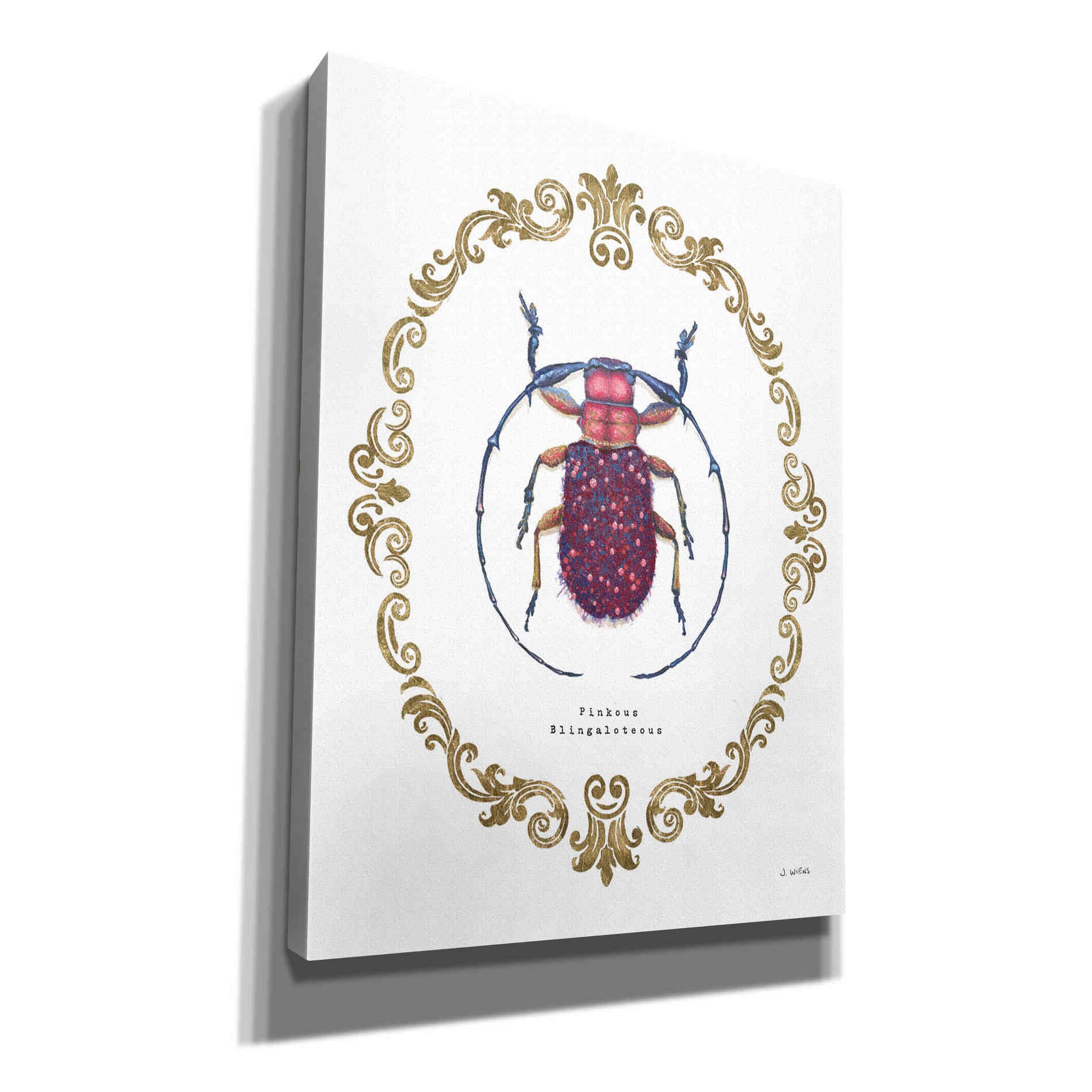 'Adorning Coleoptera II' by James Wiens, Canvas Wall Art,12x16x1.1x0,20x24x1.1x0,26x30x1.74x0,40x54x1.74x0