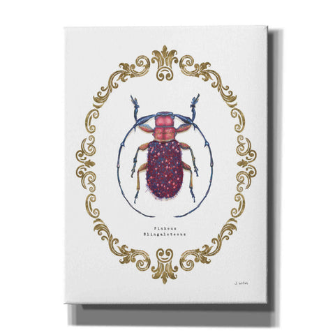 Image of 'Adorning Coleoptera II' by James Wiens, Canvas Wall Art,12x16x1.1x0,20x24x1.1x0,26x30x1.74x0,40x54x1.74x0