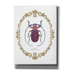 'Adorning Coleoptera II' by James Wiens, Canvas Wall Art,12x16x1.1x0,20x24x1.1x0,26x30x1.74x0,40x54x1.74x0