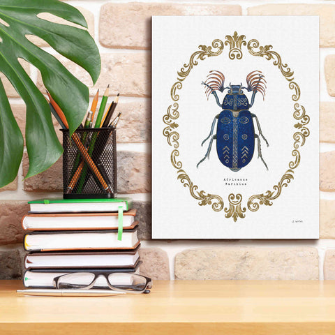 Image of 'Adorning Coleoptera III' by James Wiens, Canvas Wall Art,12 x 16