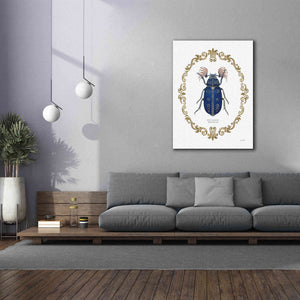 'Adorning Coleoptera III' by James Wiens, Canvas Wall Art,40 x 54