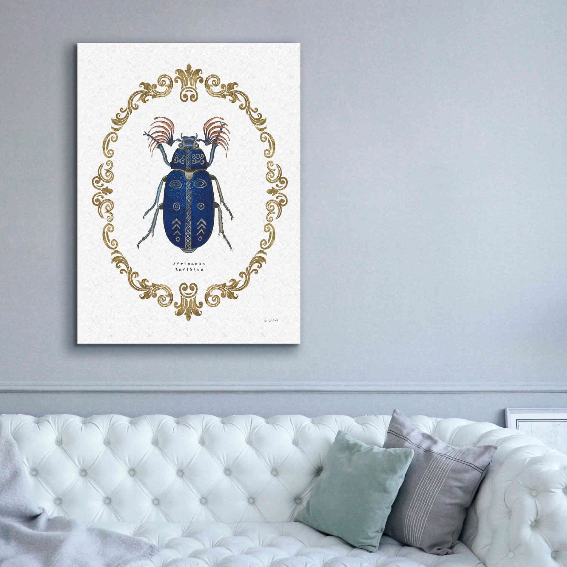 'Adorning Coleoptera III' by James Wiens, Canvas Wall Art,40 x 54