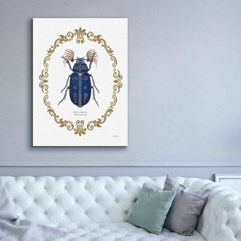 Image of 'Adorning Coleoptera III' by James Wiens, Canvas Wall Art,40 x 54