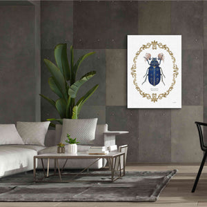 'Adorning Coleoptera III' by James Wiens, Canvas Wall Art,40 x 54