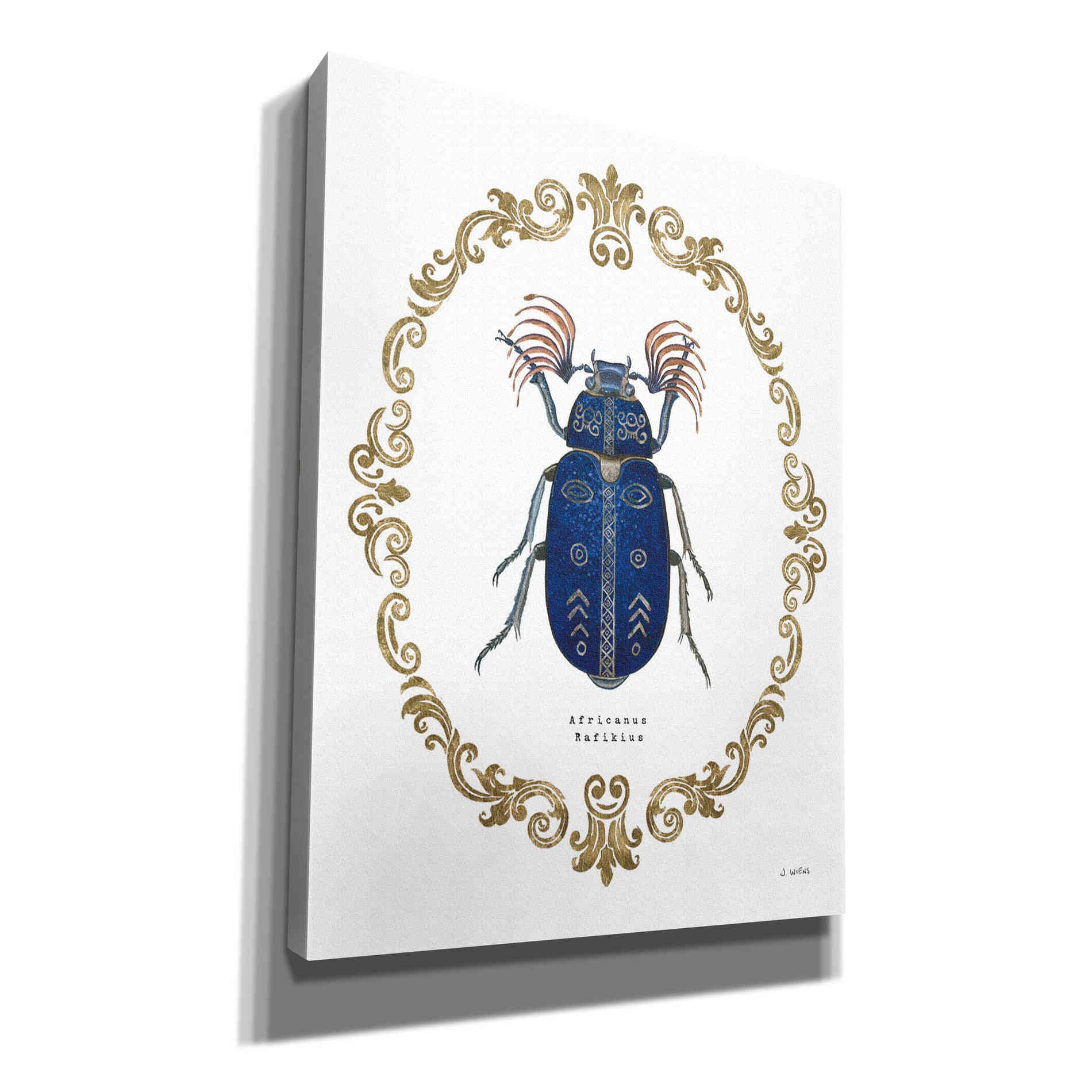 'Adorning Coleoptera III' by James Wiens, Canvas Wall Art,12x16x1.1x0,20x24x1.1x0,26x30x1.74x0,40x54x1.74x0