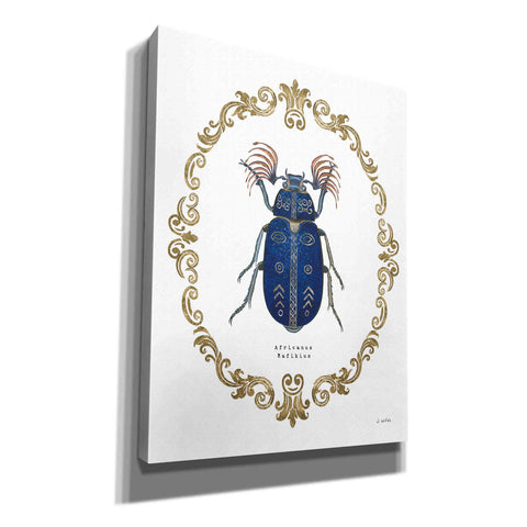 Image of 'Adorning Coleoptera III' by James Wiens, Canvas Wall Art,12x16x1.1x0,20x24x1.1x0,26x30x1.74x0,40x54x1.74x0