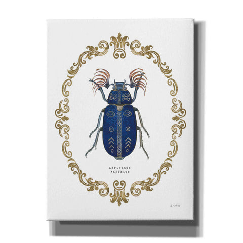 Image of 'Adorning Coleoptera III' by James Wiens, Canvas Wall Art,12x16x1.1x0,20x24x1.1x0,26x30x1.74x0,40x54x1.74x0