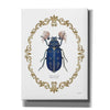 'Adorning Coleoptera III' by James Wiens, Canvas Wall Art,12x16x1.1x0,20x24x1.1x0,26x30x1.74x0,40x54x1.74x0