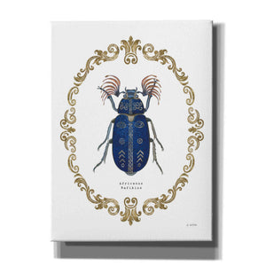'Adorning Coleoptera III' by James Wiens, Canvas Wall Art,12x16x1.1x0,20x24x1.1x0,26x30x1.74x0,40x54x1.74x0